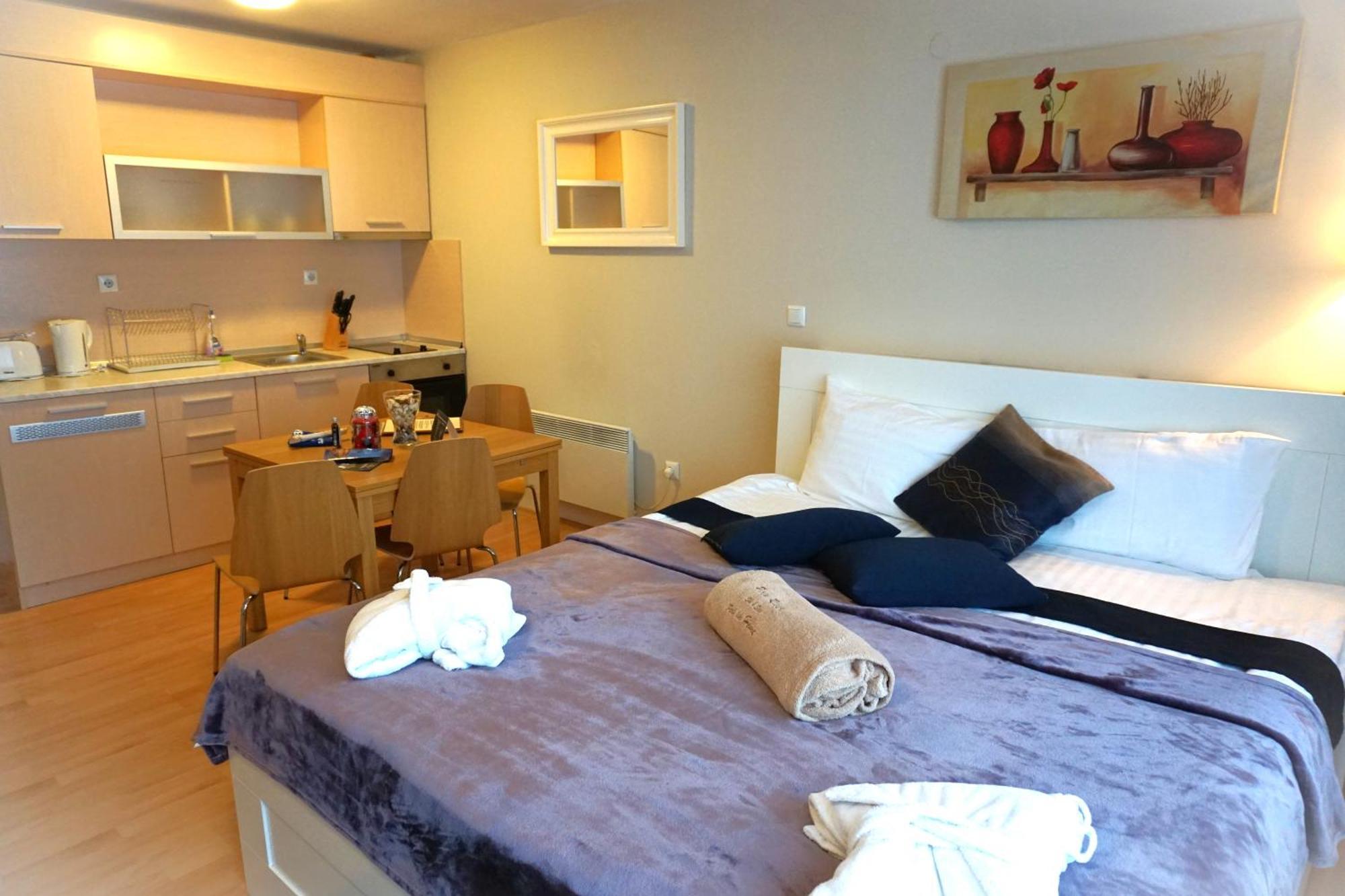 Pirin River Ski, Fun And Family Bansko Room photo